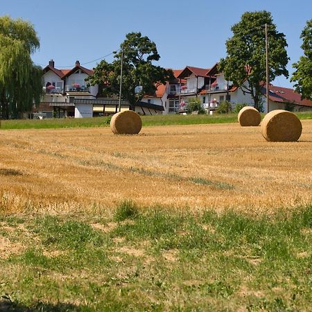 Landhotel Schellenberg Иберлинген Экстерьер фото